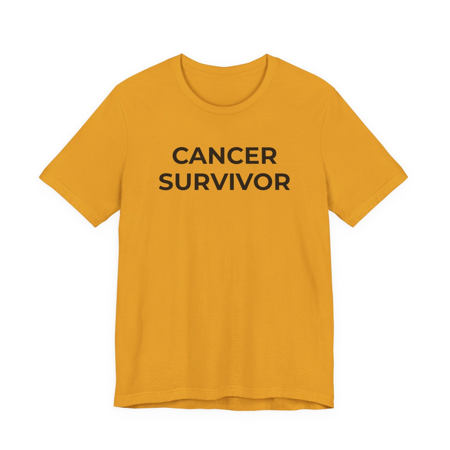 Cancer T-Shirt - Cancer Sucks - Wear What You Stand For Products